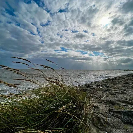 Briesenick-radde Meeresblick *